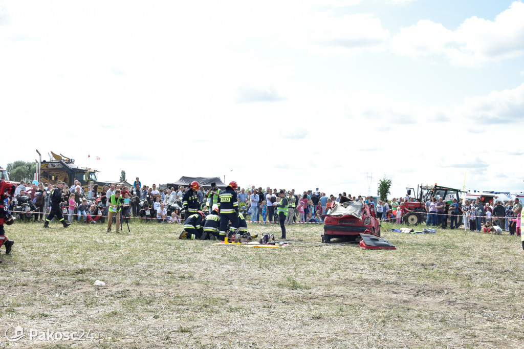 Grene Race 2018