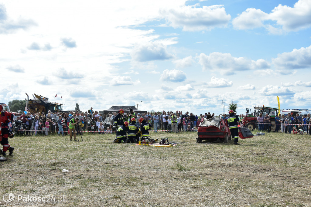 Grene Race 2018