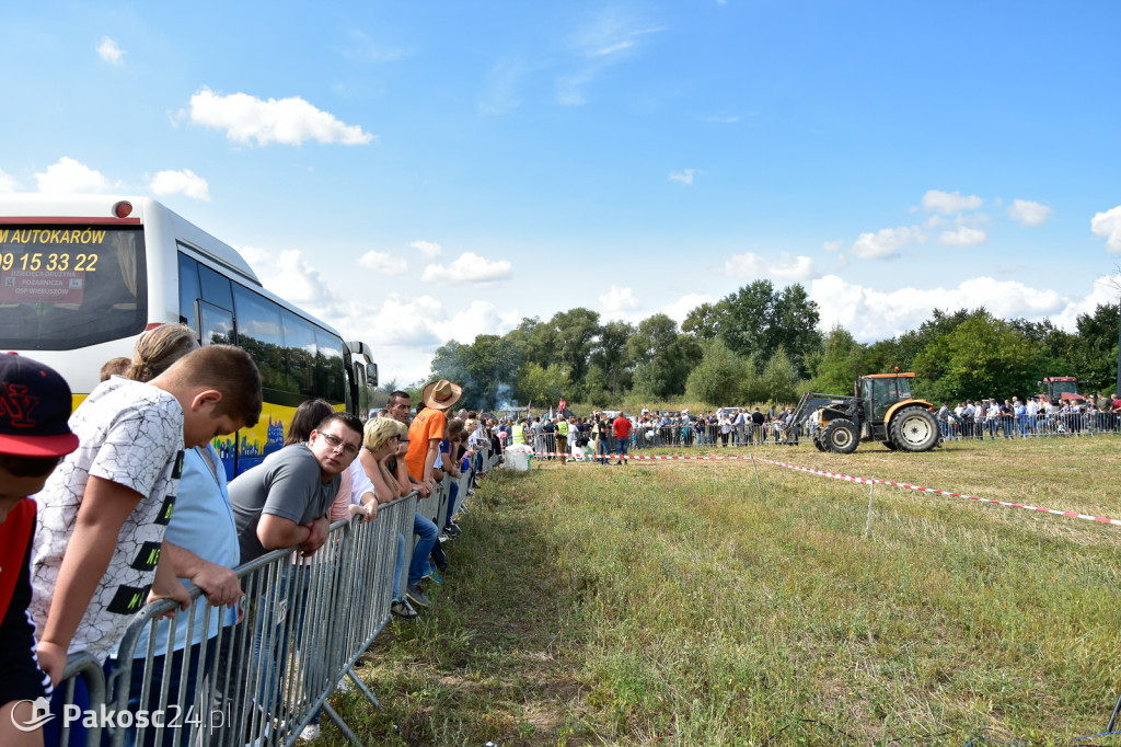 Grene Race 2018