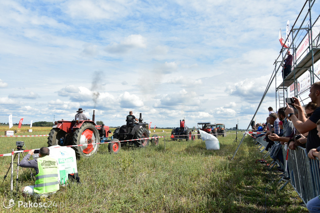 Grene Race 2018