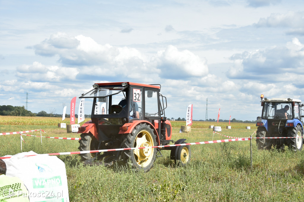 Grene Race 2018