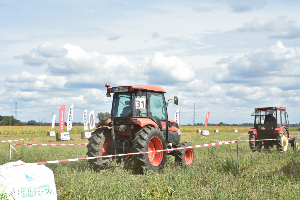 Grene Race 2018