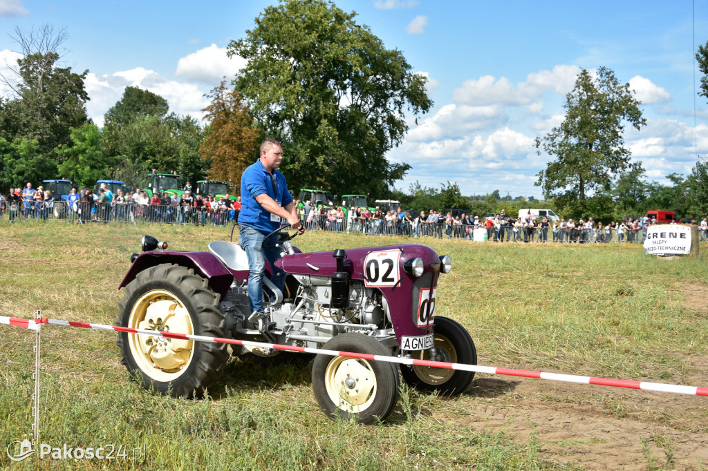 Grene Race 2018