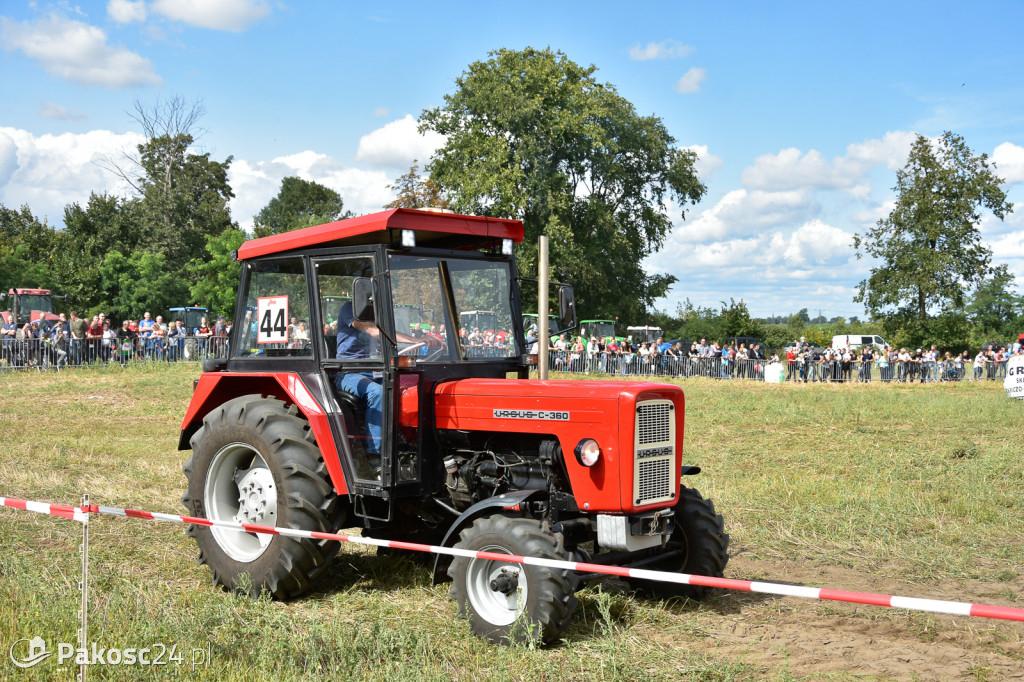 Grene Race 2018