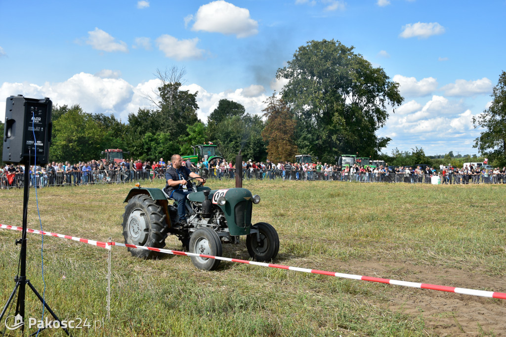 Grene Race 2018
