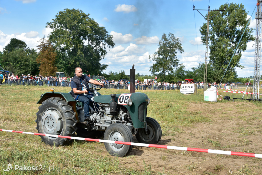 Grene Race 2018