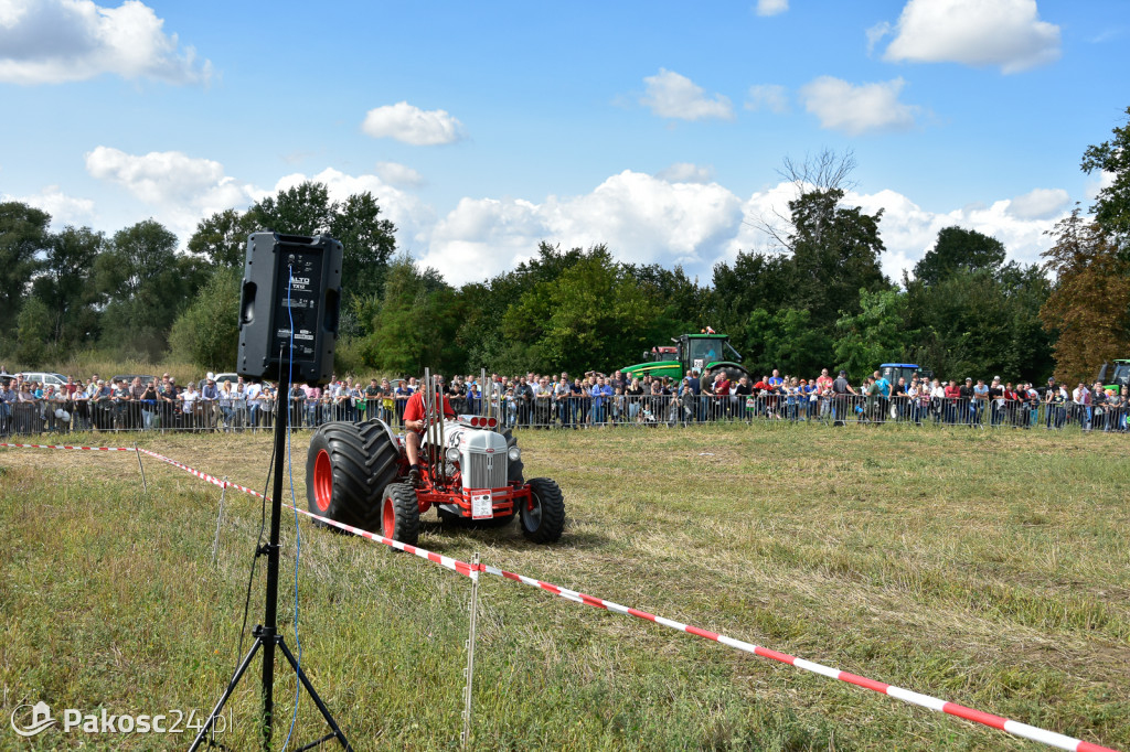 Grene Race 2018