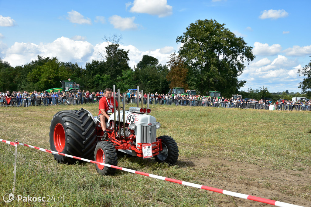 Grene Race 2018