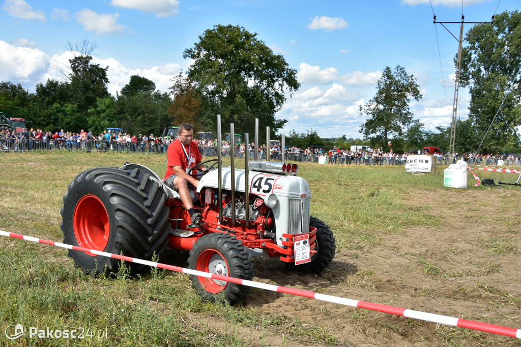 Grene Race 2018
