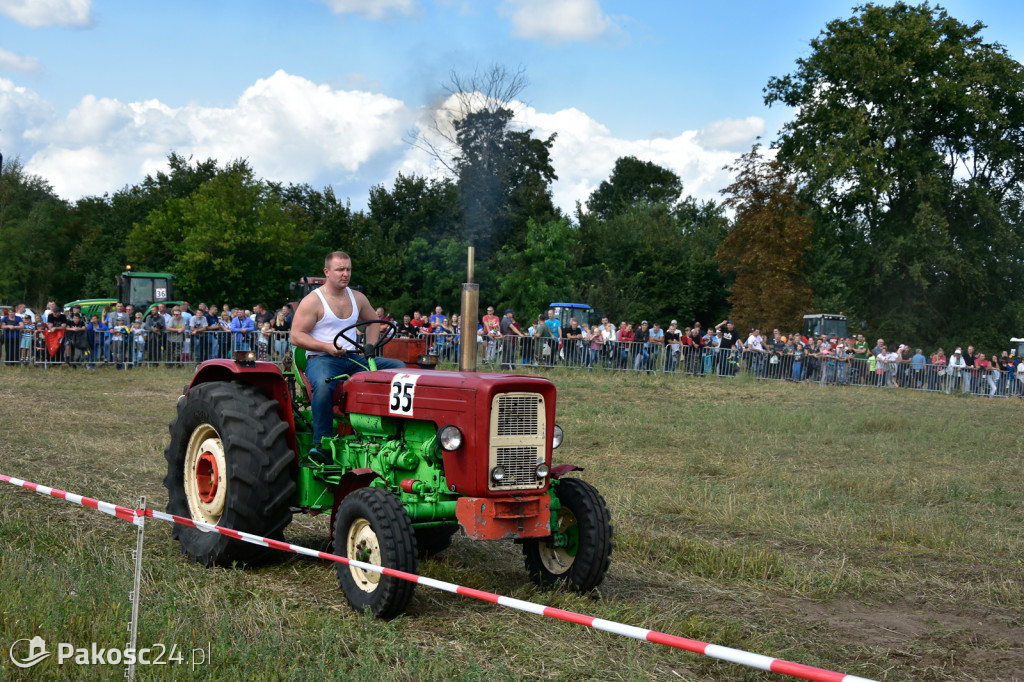 Grene Race 2018