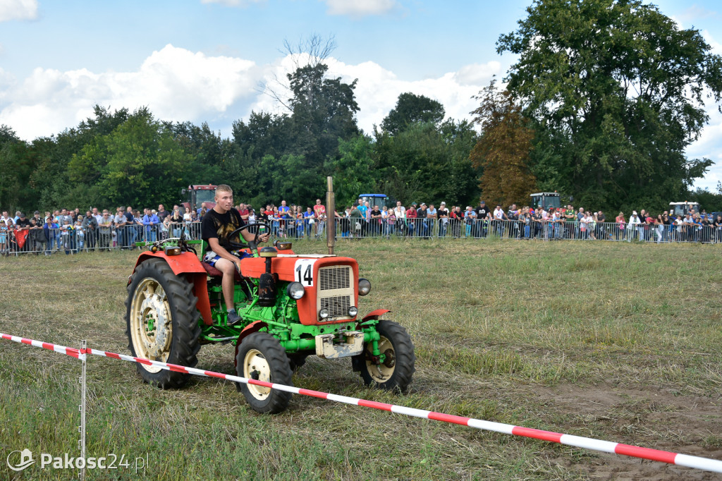 Grene Race 2018