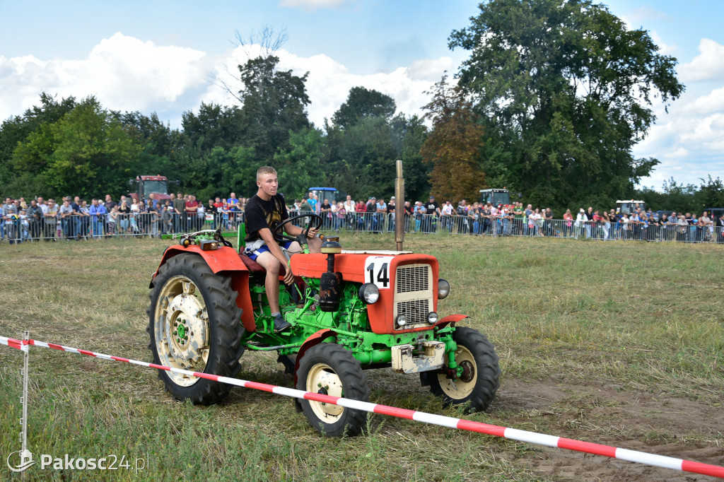 Grene Race 2018