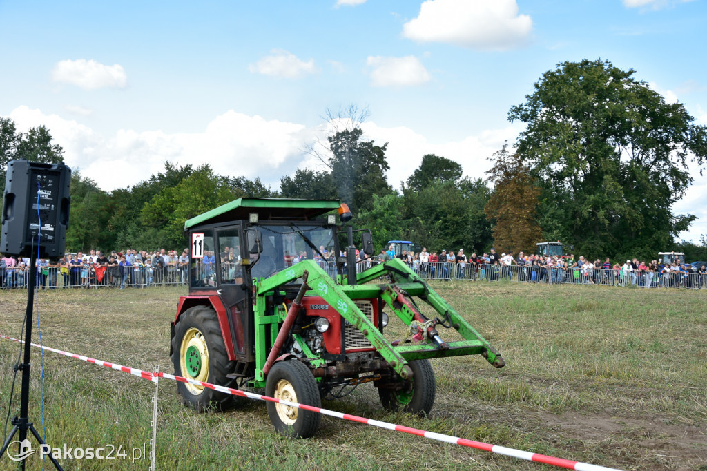 Grene Race 2018
