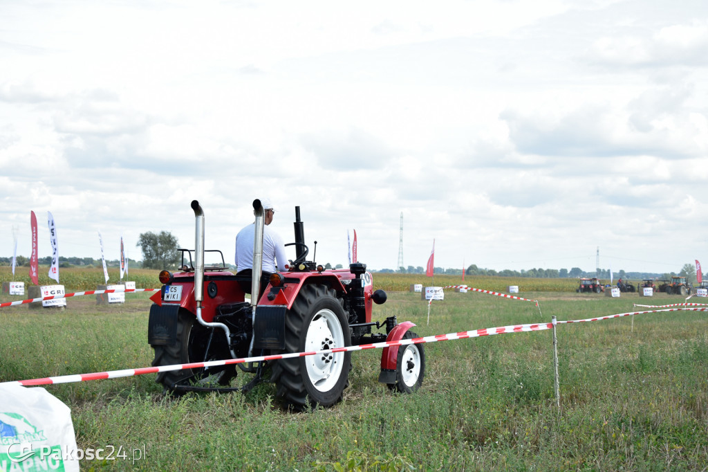 Grene Race 2018