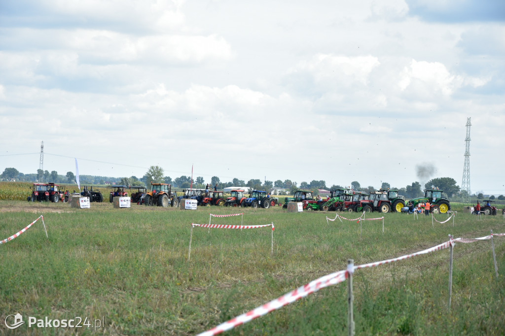 Grene Race 2018