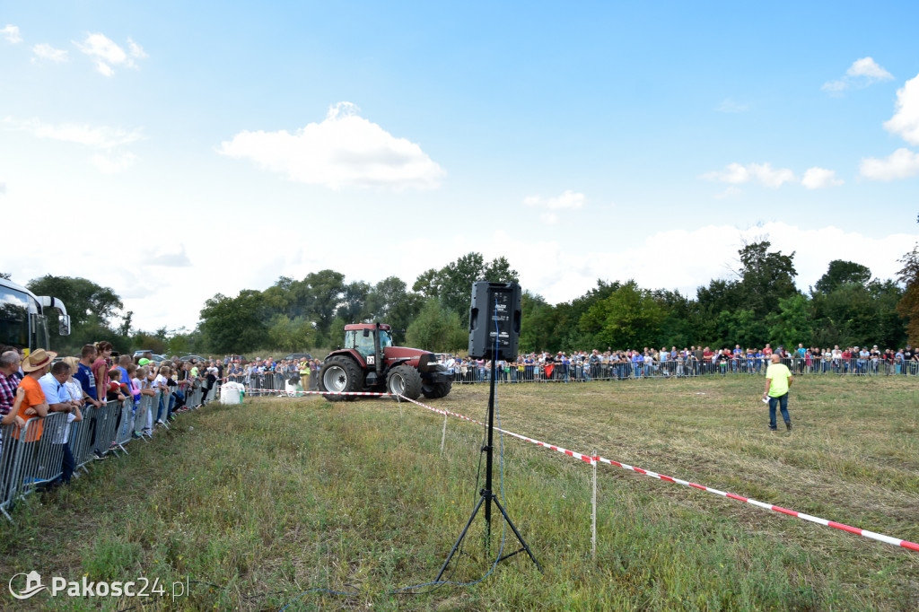 Grene Race 2018