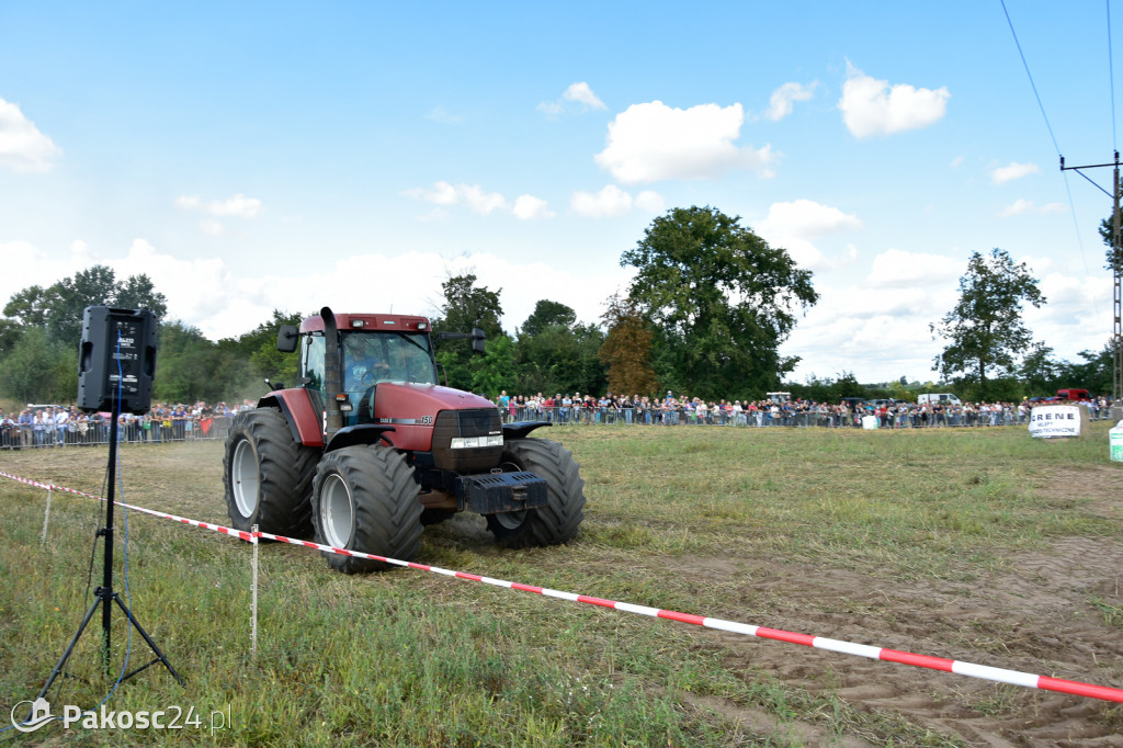 Grene Race 2018
