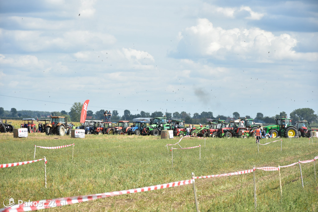 Grene Race 2018