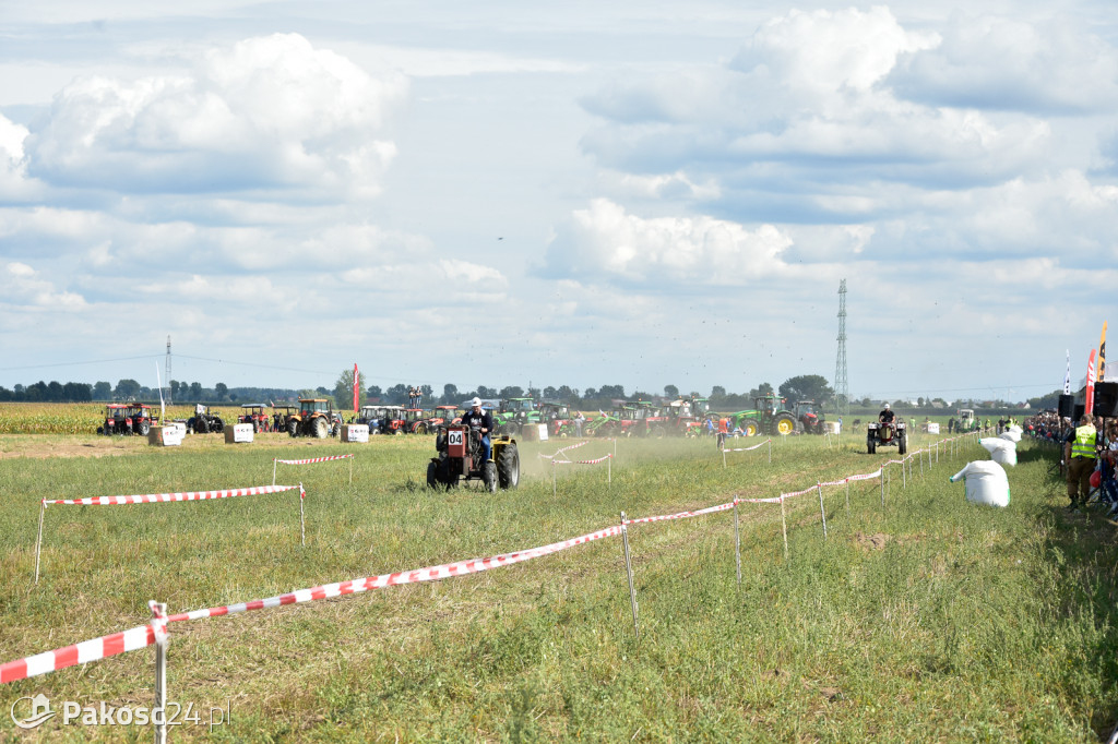Grene Race 2018