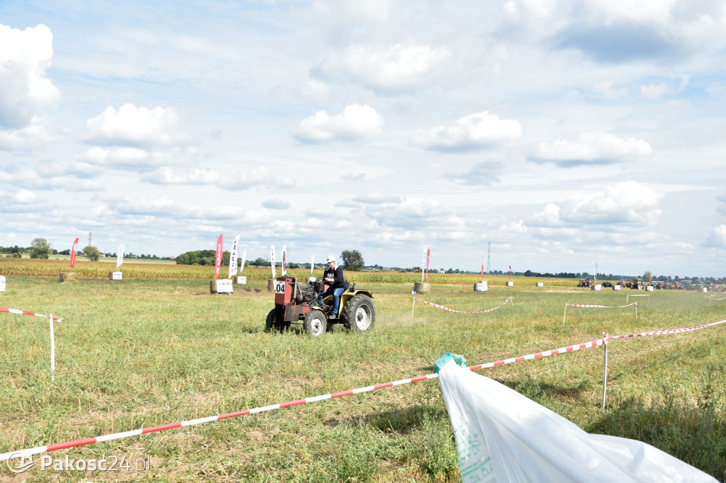 Grene Race 2018
