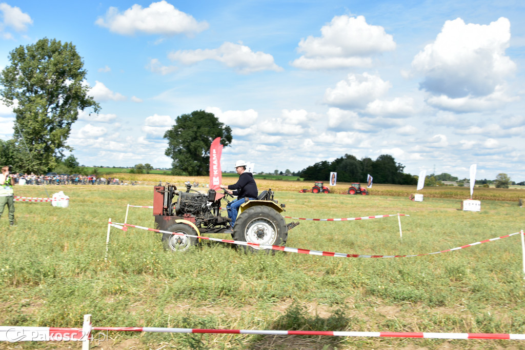 Grene Race 2018