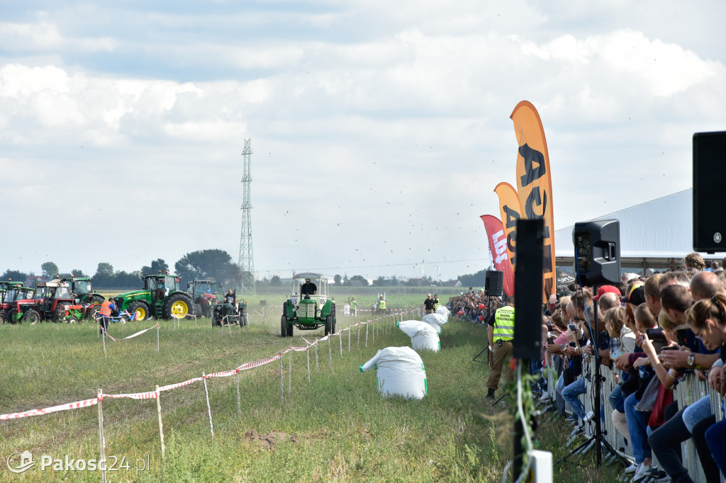 Grene Race 2018