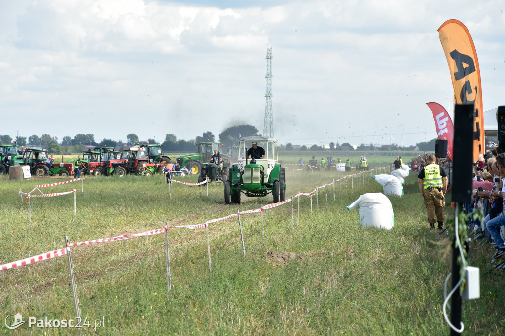 Grene Race 2018