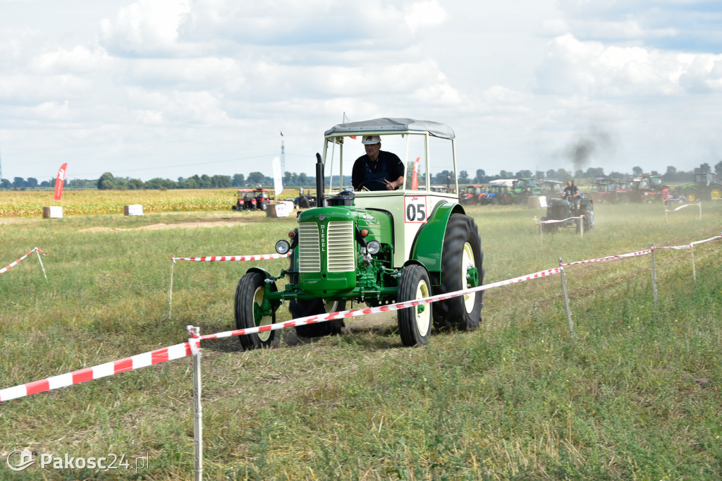 Grene Race 2018