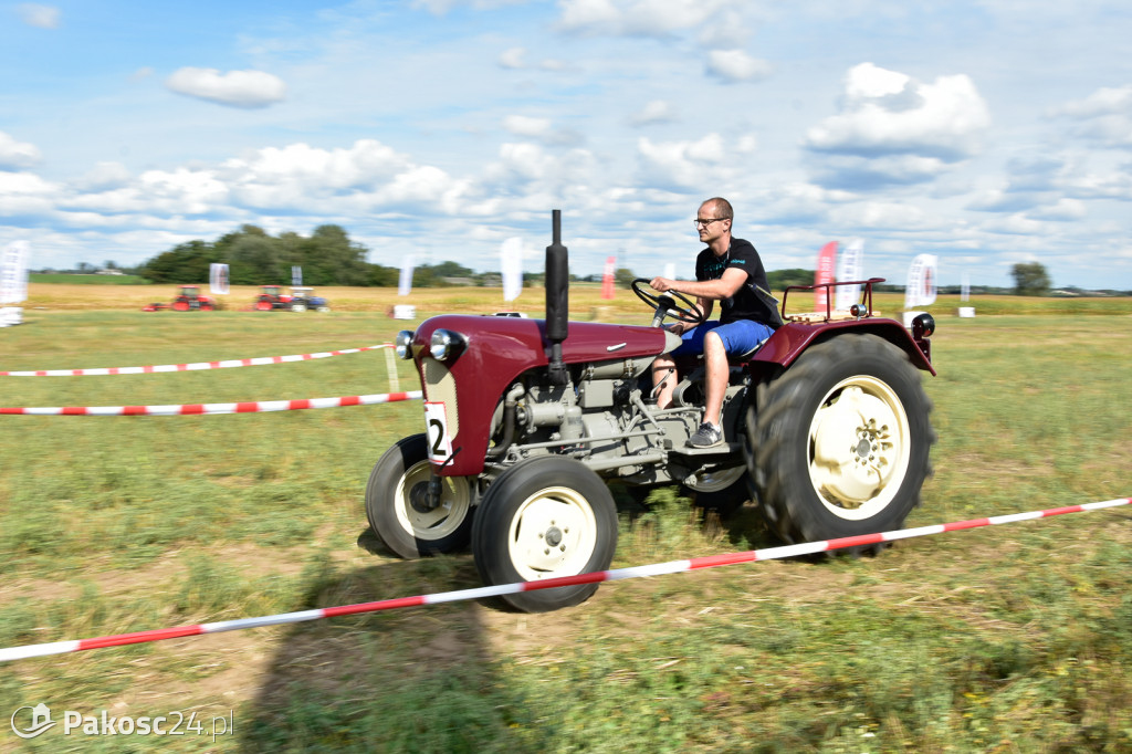 Grene Race 2018