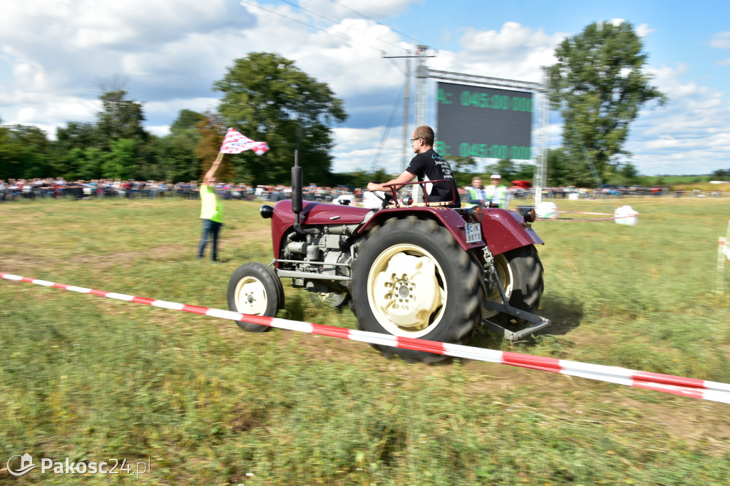 Grene Race 2018