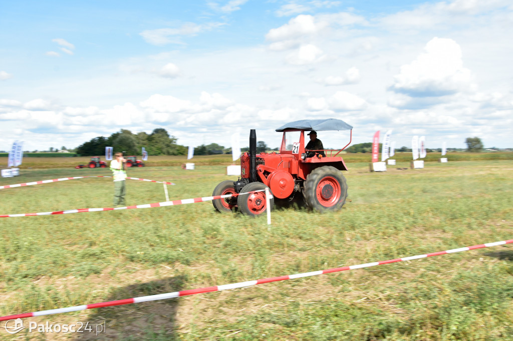 Grene Race 2018