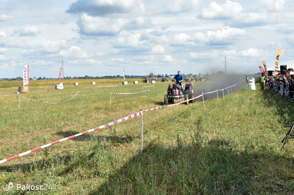 Grene Race 2018