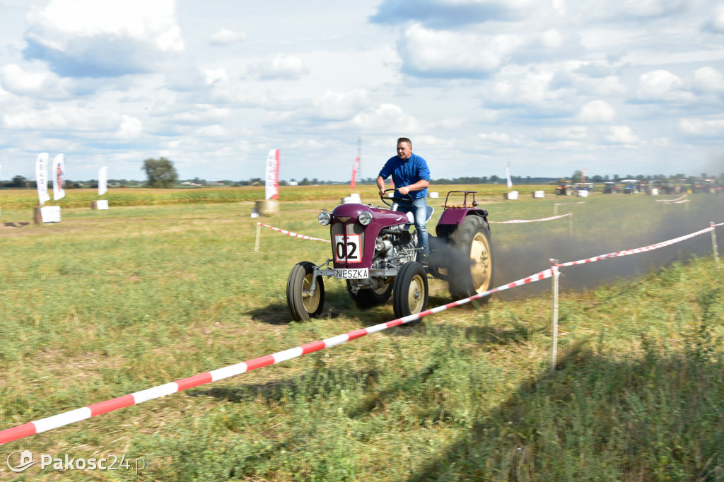 Grene Race 2018