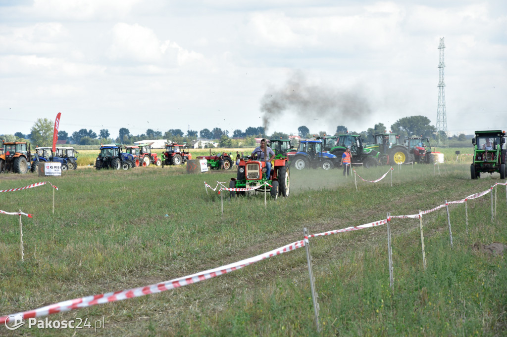 Grene Race 2018