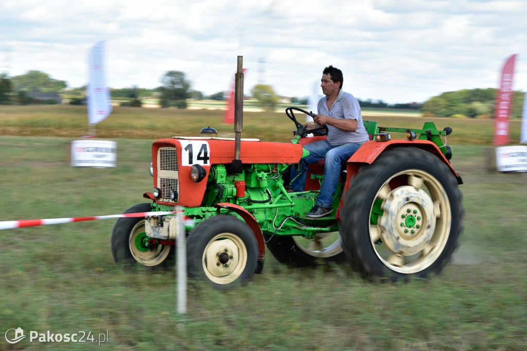 Grene Race 2018