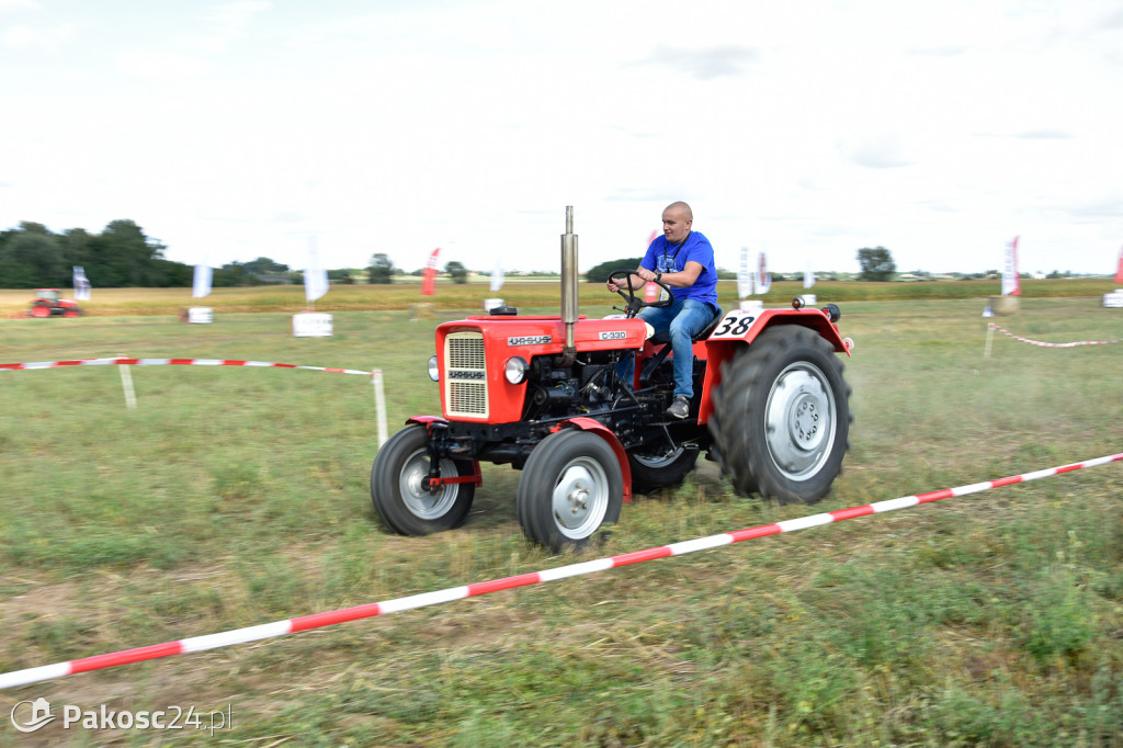 Grene Race 2018