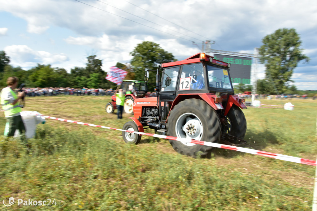 Grene Race 2018