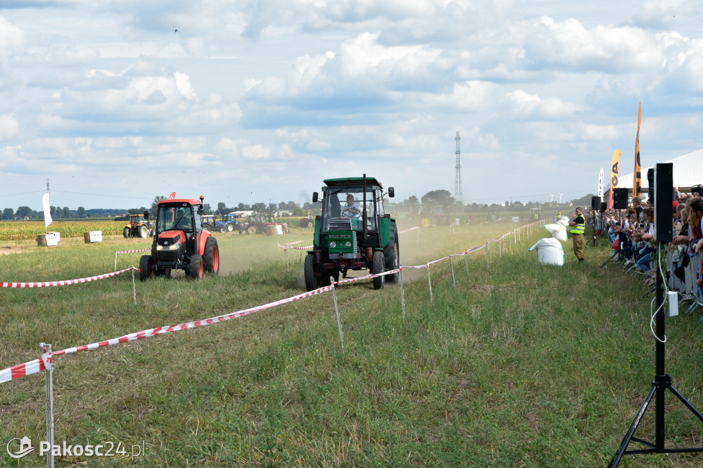 Grene Race 2018