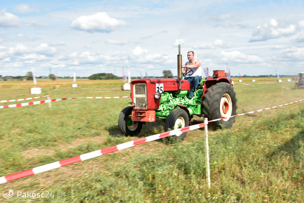 Grene Race 2018