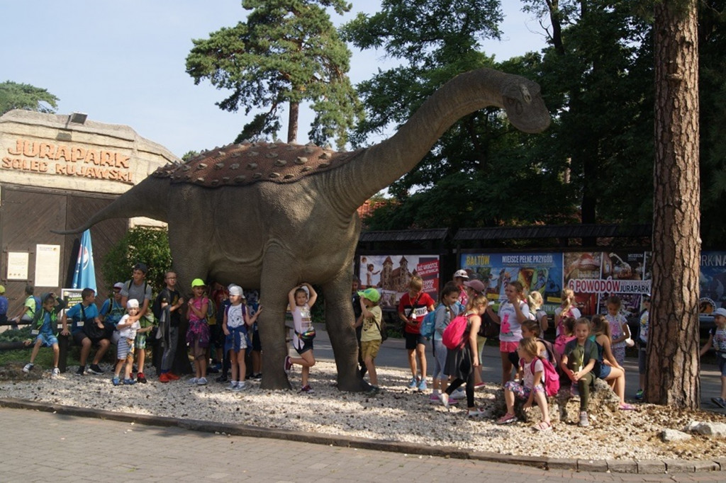 Wakacje w OKiT 2019