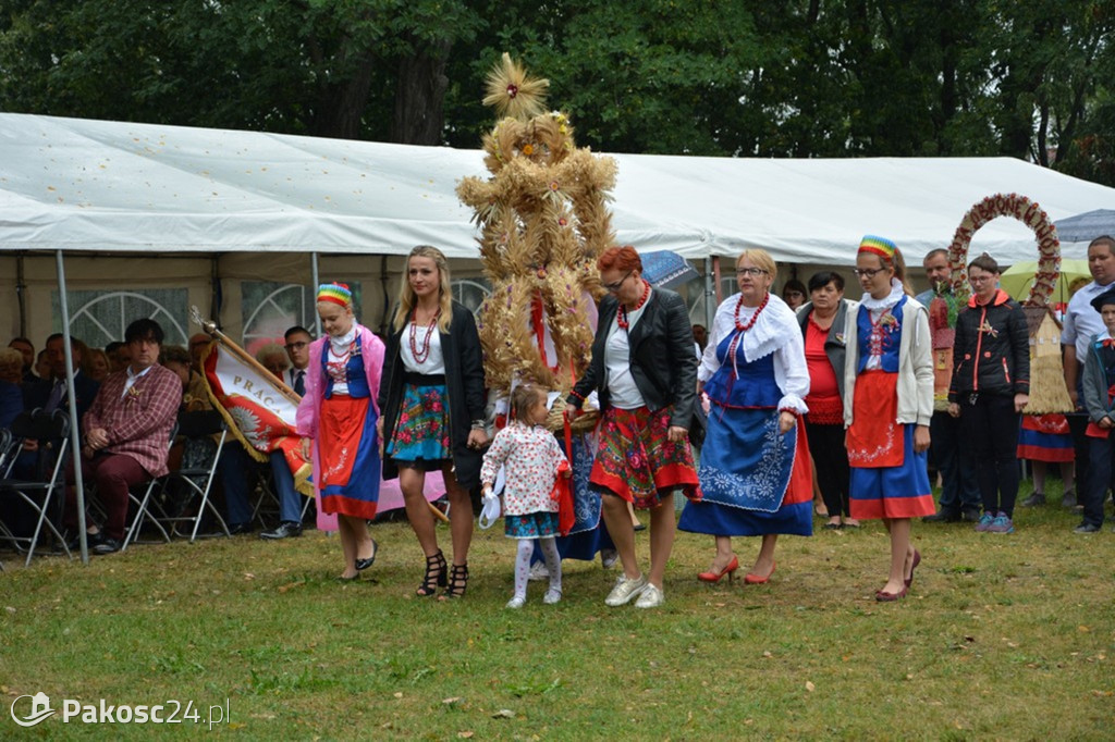 Dożynki powiatowo-gminne