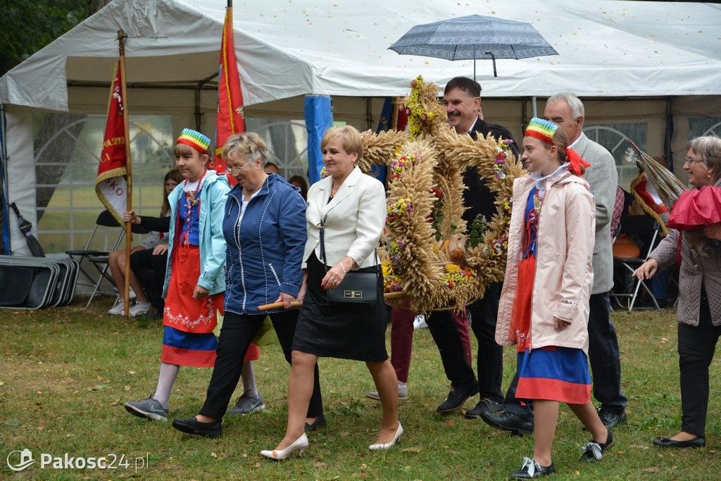 Dożynki powiatowo-gminne