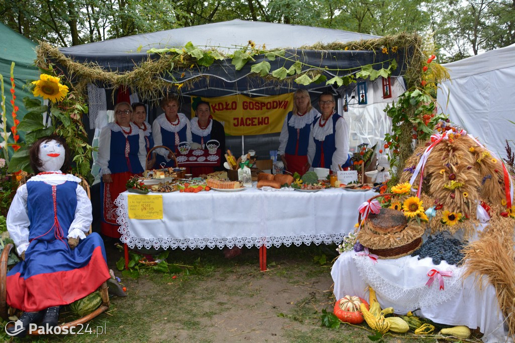 Dożynki powiatowo-gminne