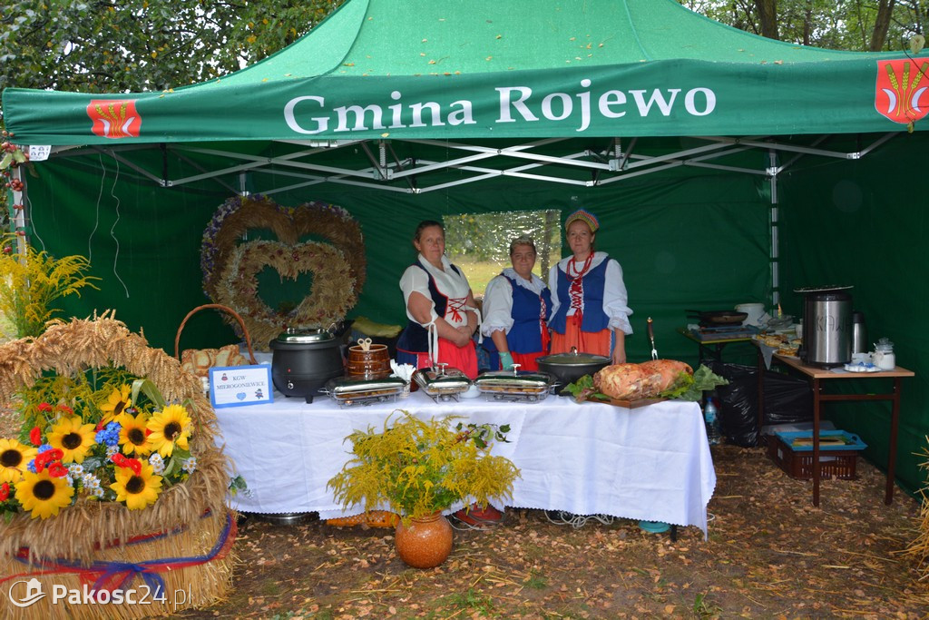 Dożynki powiatowo-gminne