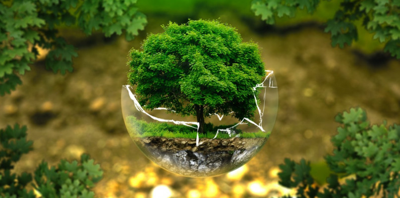 fot. pixabay/zdjęcie ilustracyjne