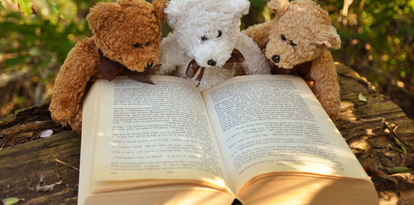Zdjęcie ilustracyjne/pixabay