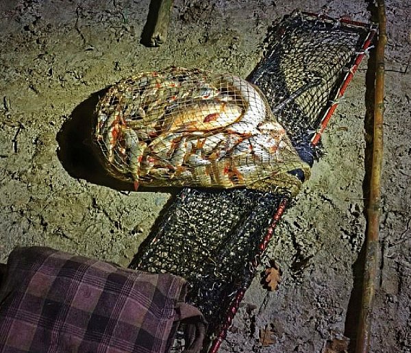 Kłusownik z siecią pełną ryb zatrzymany pod Pakością-7481