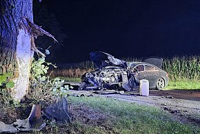 Nocny wypadek w Radłowie. Mercedes wbił się w drzewo-11231