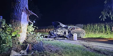 Nocny wypadek w Radłowie. Mercedes wbił się w drzewo-11231