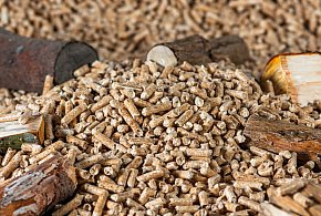 Drożeje popularny opał. Miliony Polaków dostaną po kieszeni tej zimy-11745